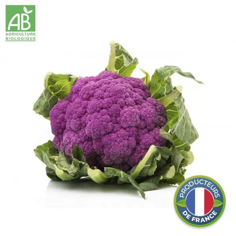 Chou-fleur violet Bio