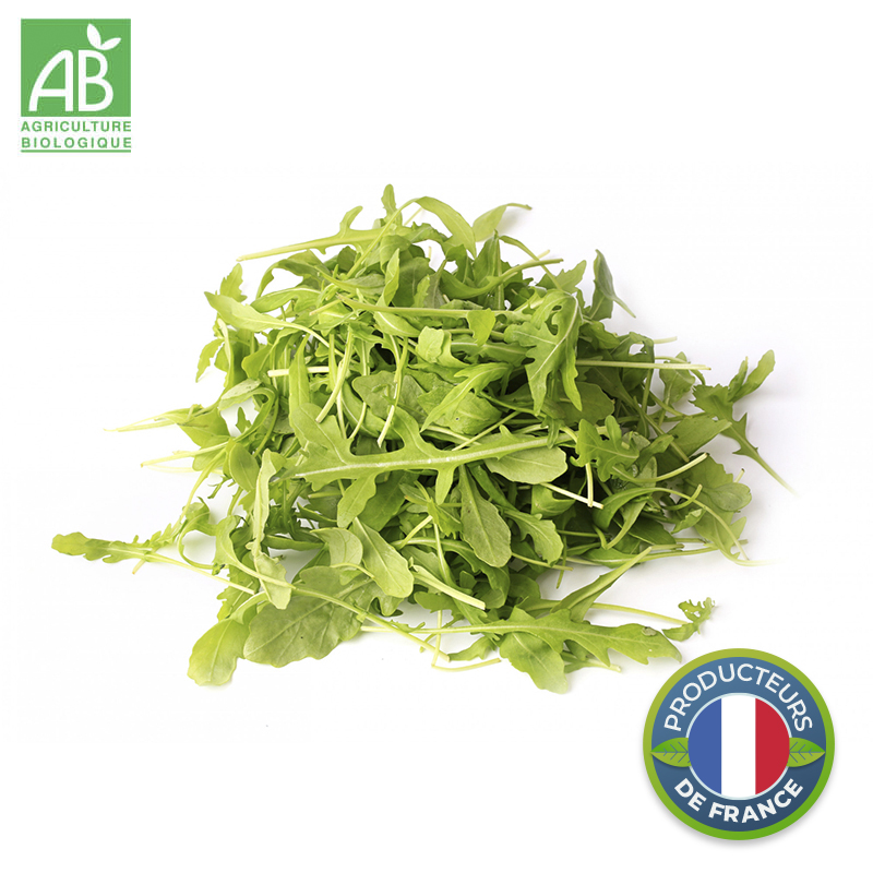 Salade roquette Bio