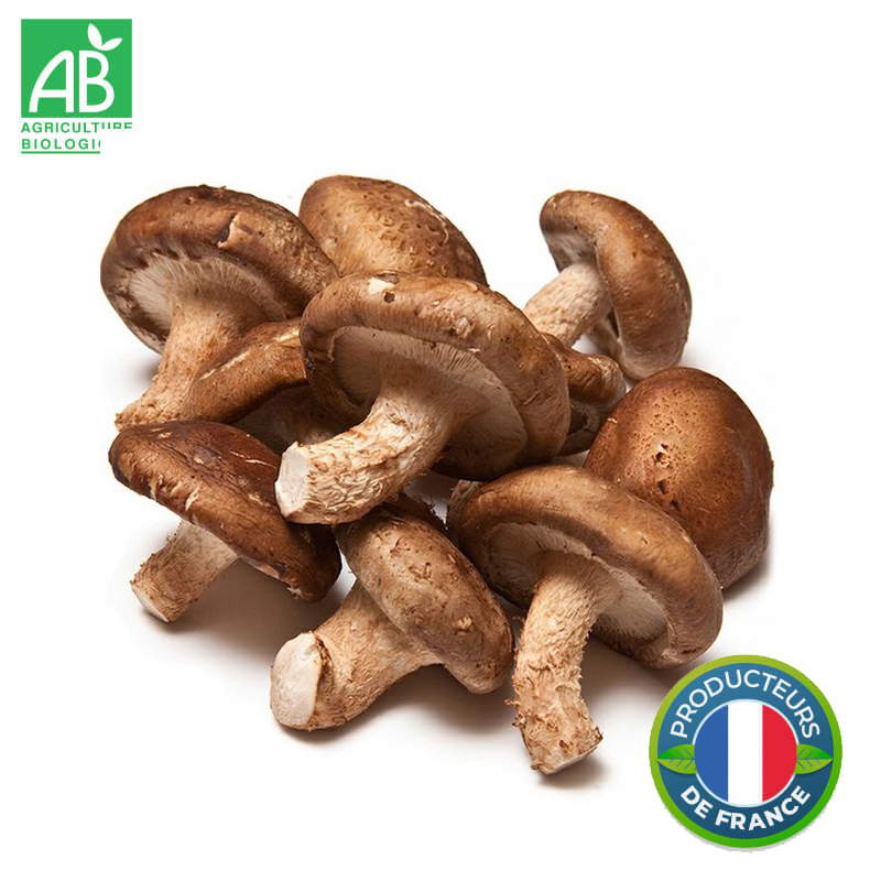 Champignons Shiitaké Bio en vrac