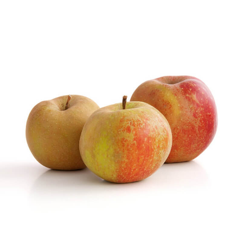 Pomme Belle de Boskop