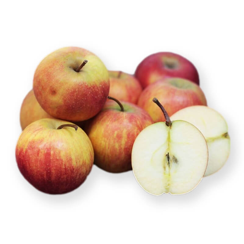 Pomme Rubinette