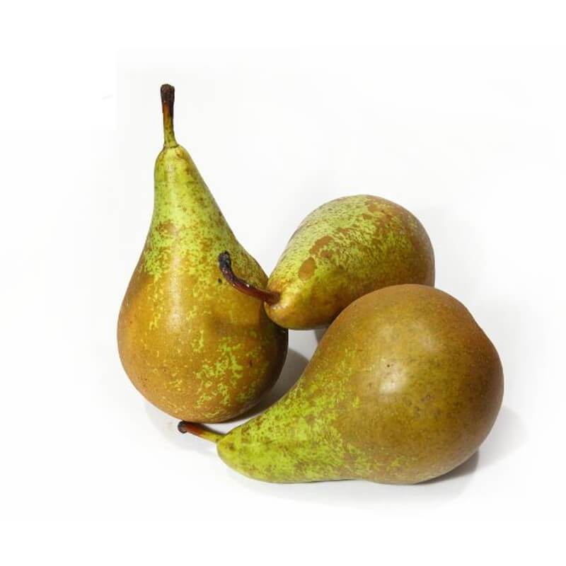 Poire Conférence