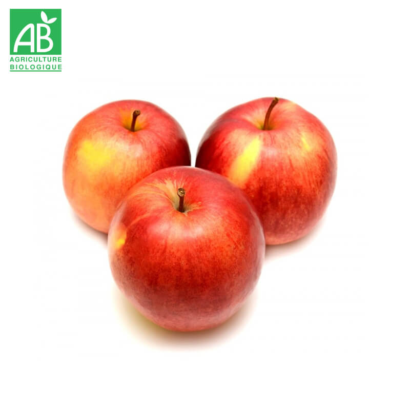 Pomme Reinette Bio