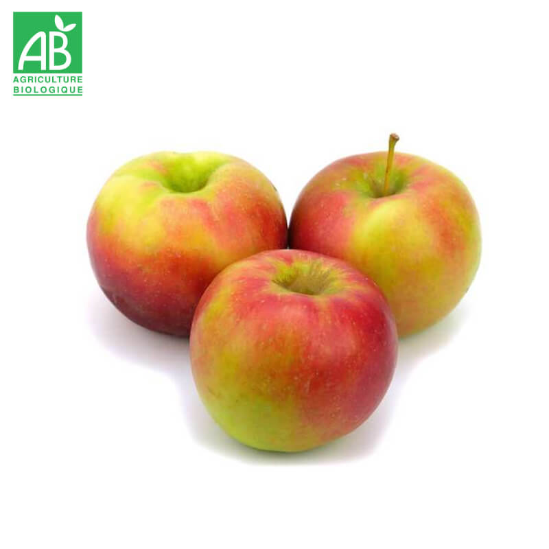 Pomme Pixie Bio