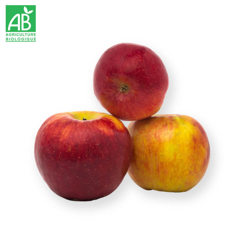 Pomme Rusticana Bio