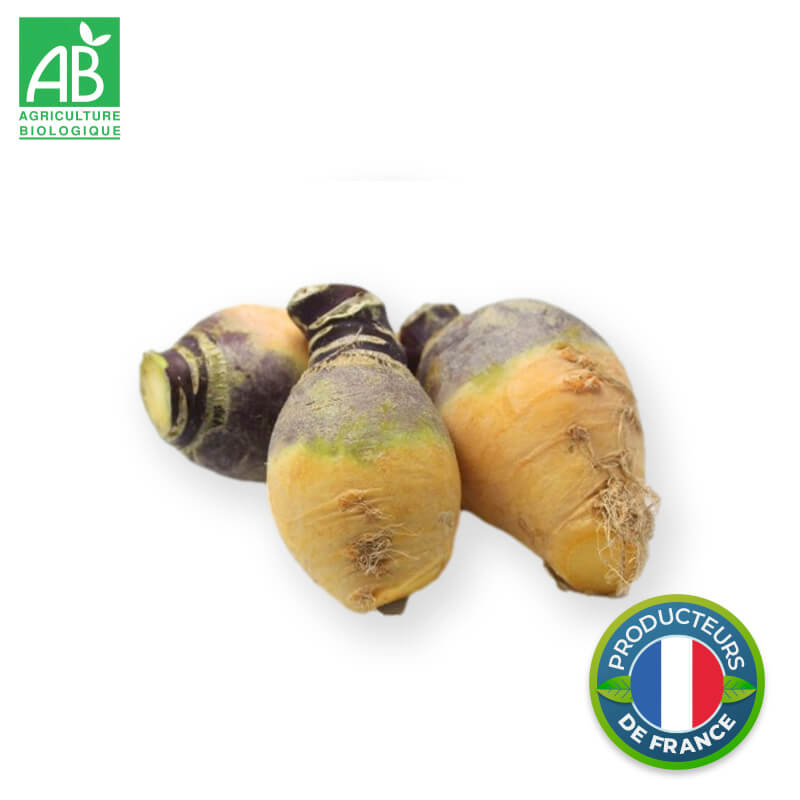 Rutabaga Bio