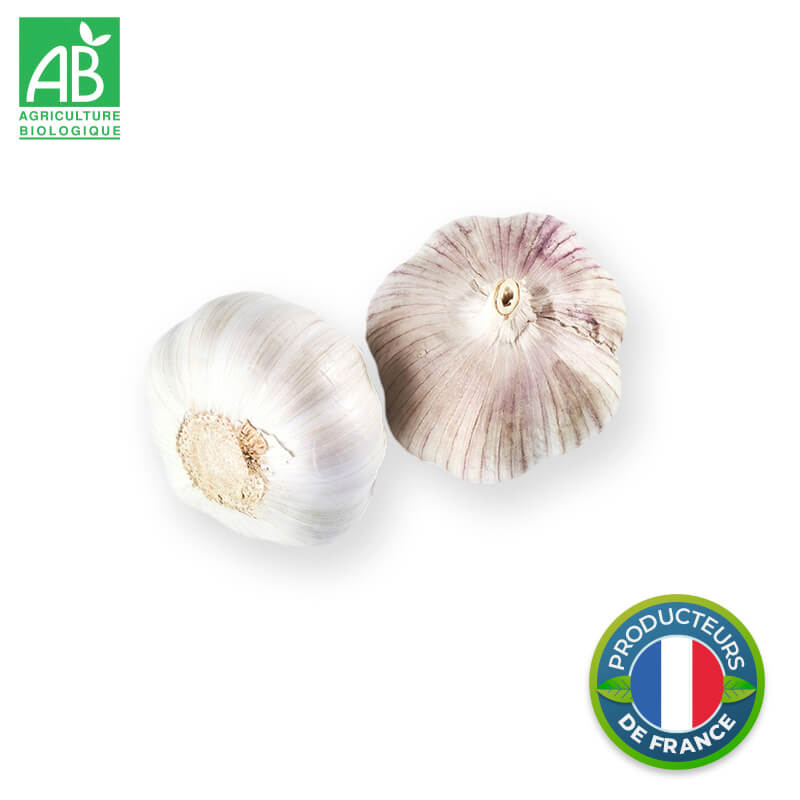 Ail blanc/violet Bio