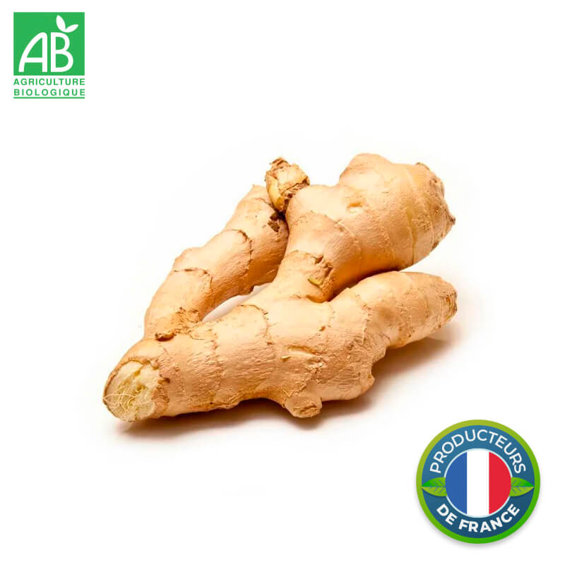 Gingembre frais Bio
