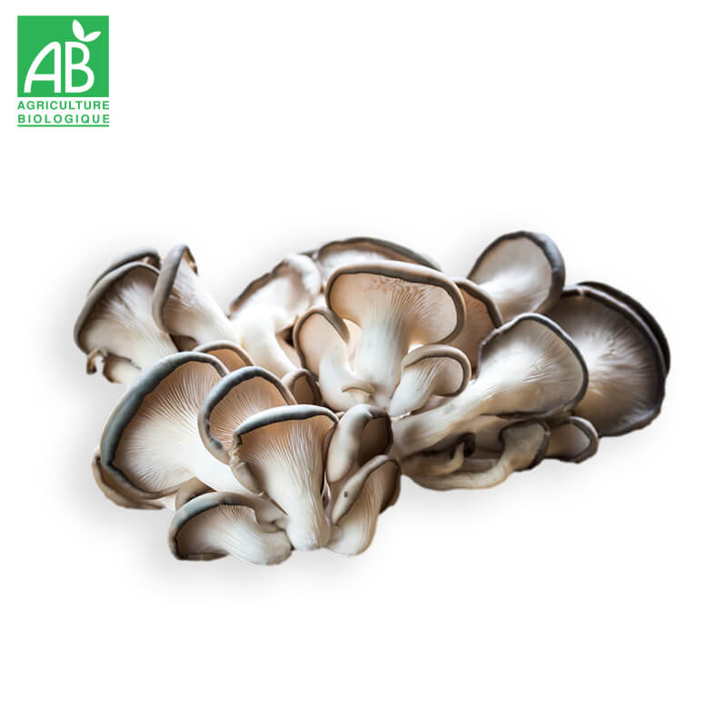 Pleurotes grises Bio 200g