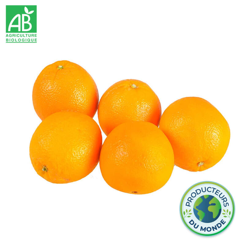 Oranges de Table d'Italie Bio 1kg