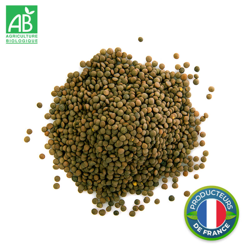 Lentilles vertes Bio en vrac 500g