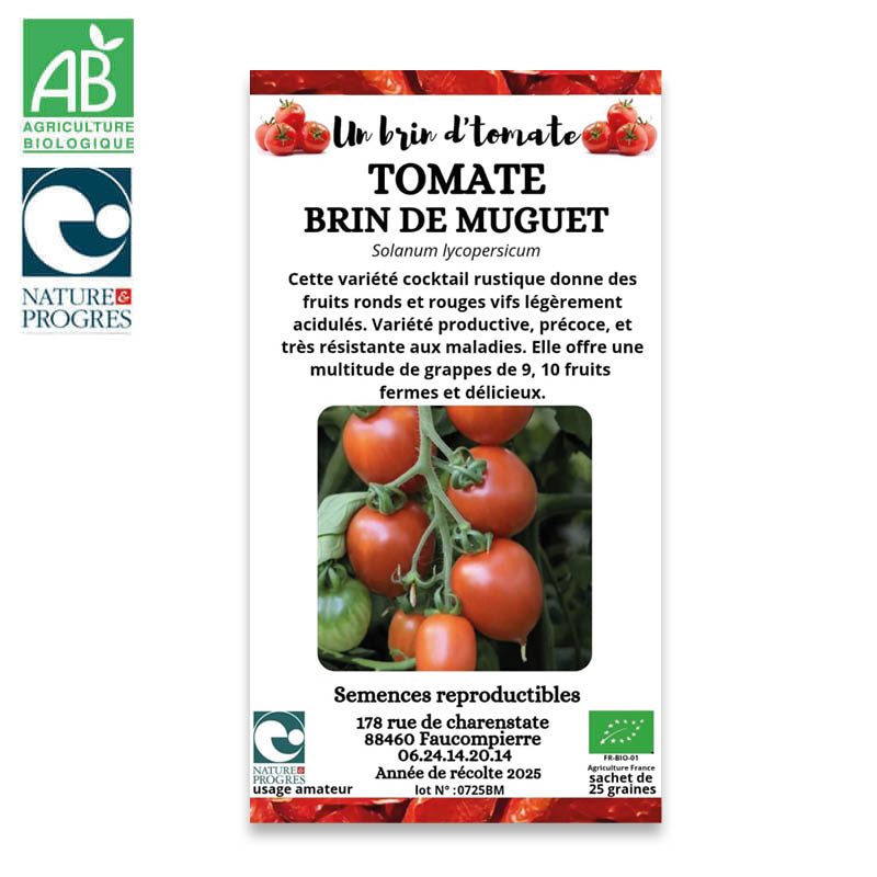 Semences Paysannes Bio : Tomate cocktail "Brin de Muguet"