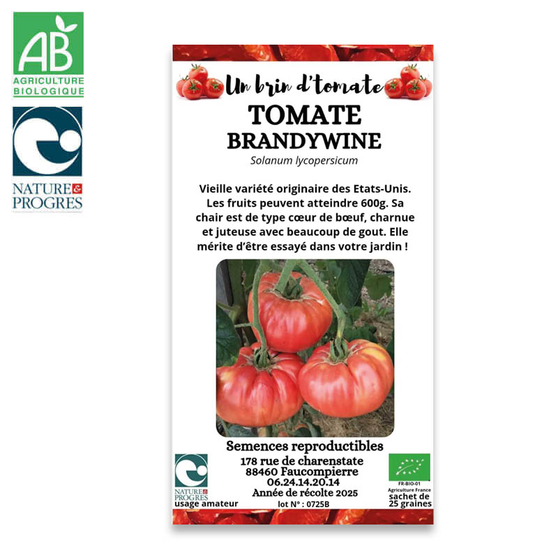 Semences Paysannes Bio : Tomate "Brandywine"