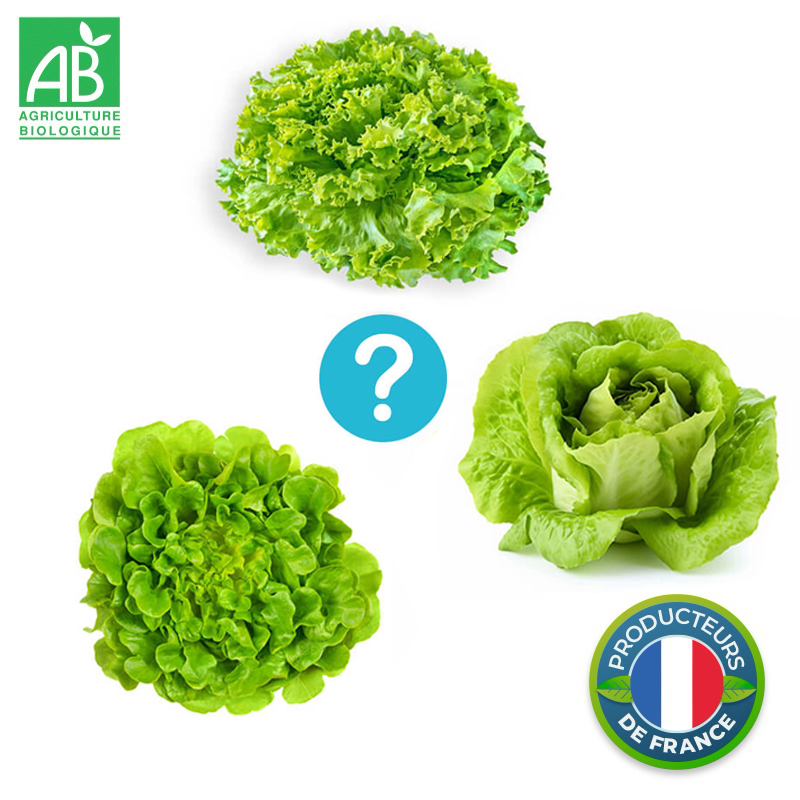 Salades Bio à la pièce