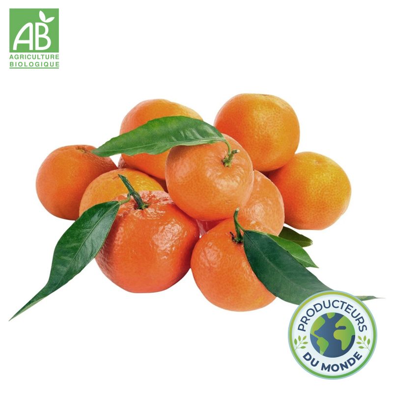 Mandarines Bio