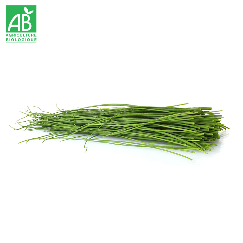 Ciboulette Bio en botte