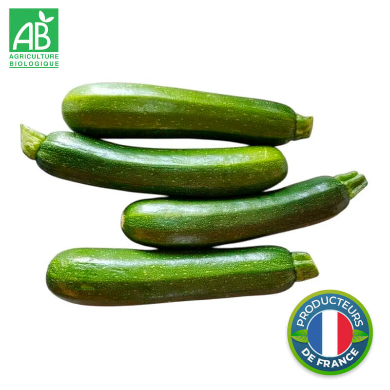 Courgette verte Bio (petit calibre)
