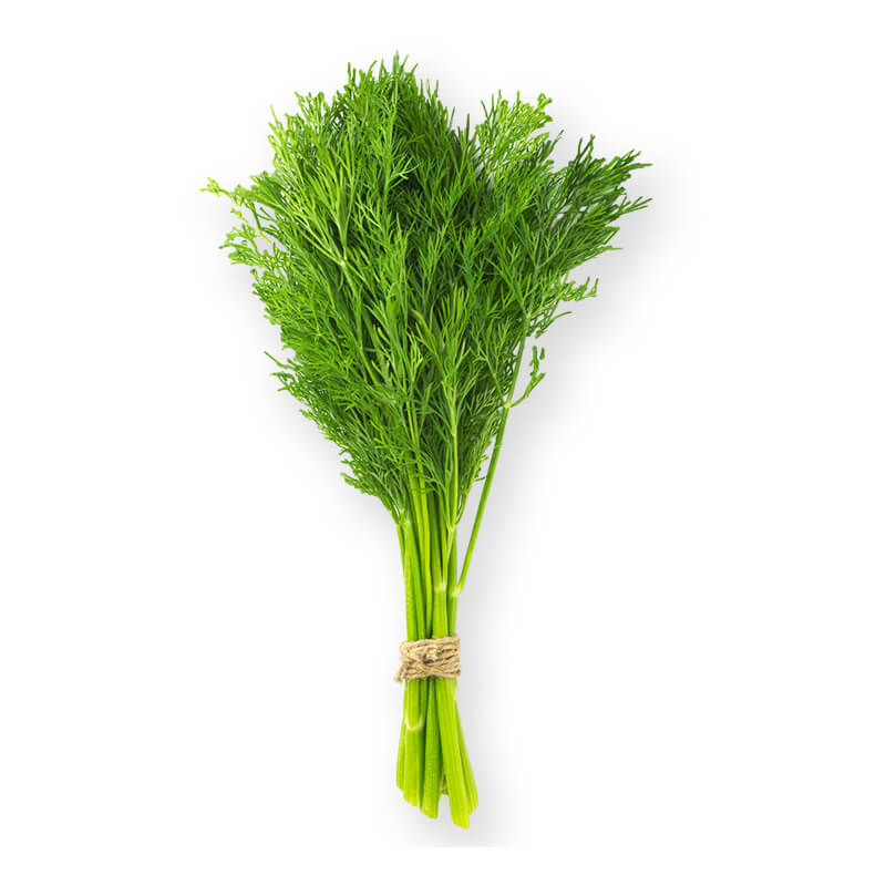 Aneth Bio en botte