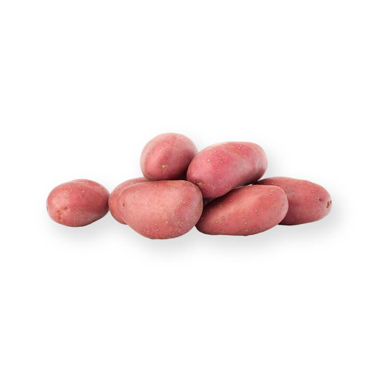 Pommes de terre Désirée