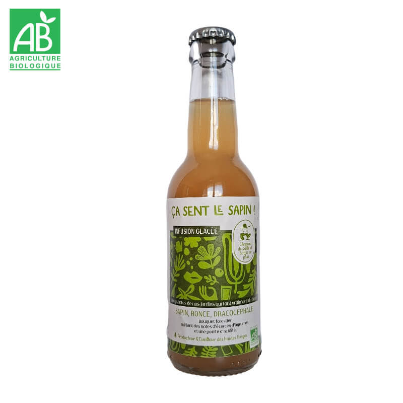 Infusion Glacée bio "Ça sent le sapin !"