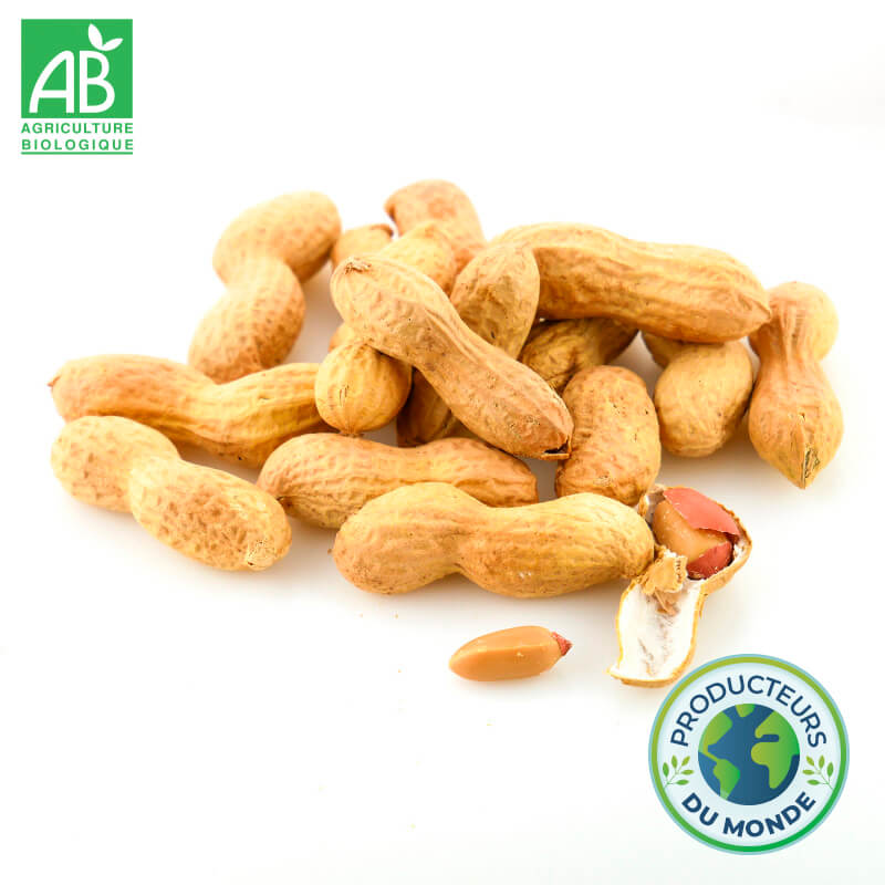 Cacahuètes grillées en coque Bio