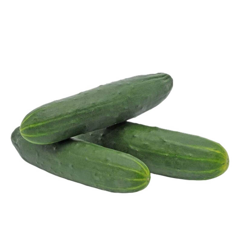 Concombre noa