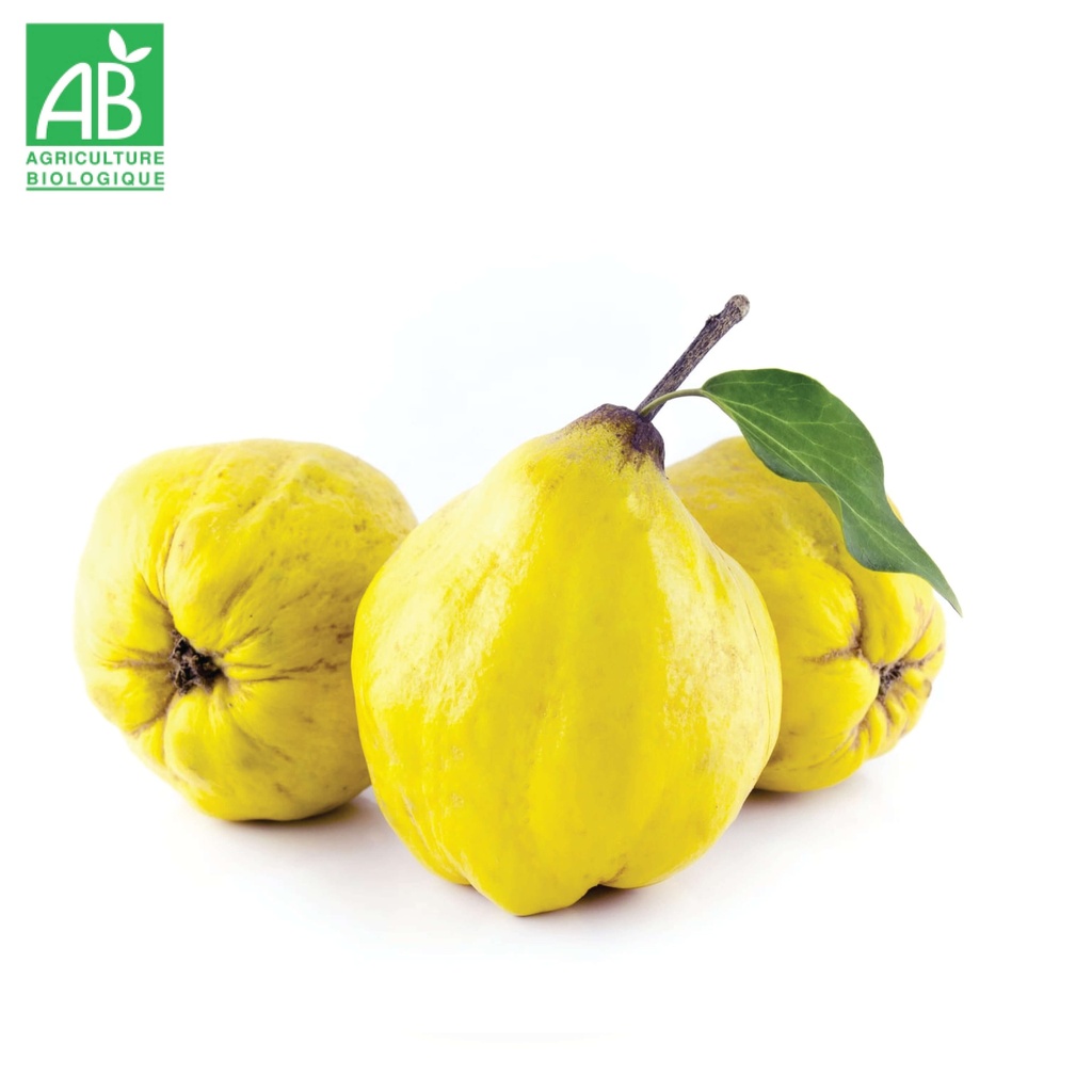 Coing Bio au kg