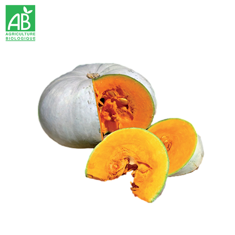 Courge Potiron Bleu de Hongrie Bio à la coupe