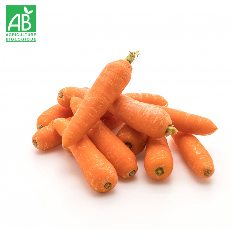 Carottes nouvelles bio