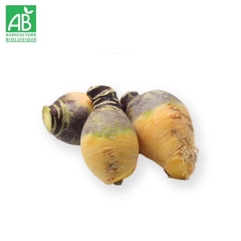 Rutabaga Bio au kg