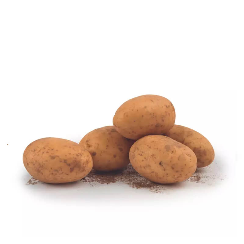 Pommes de terre Samba
