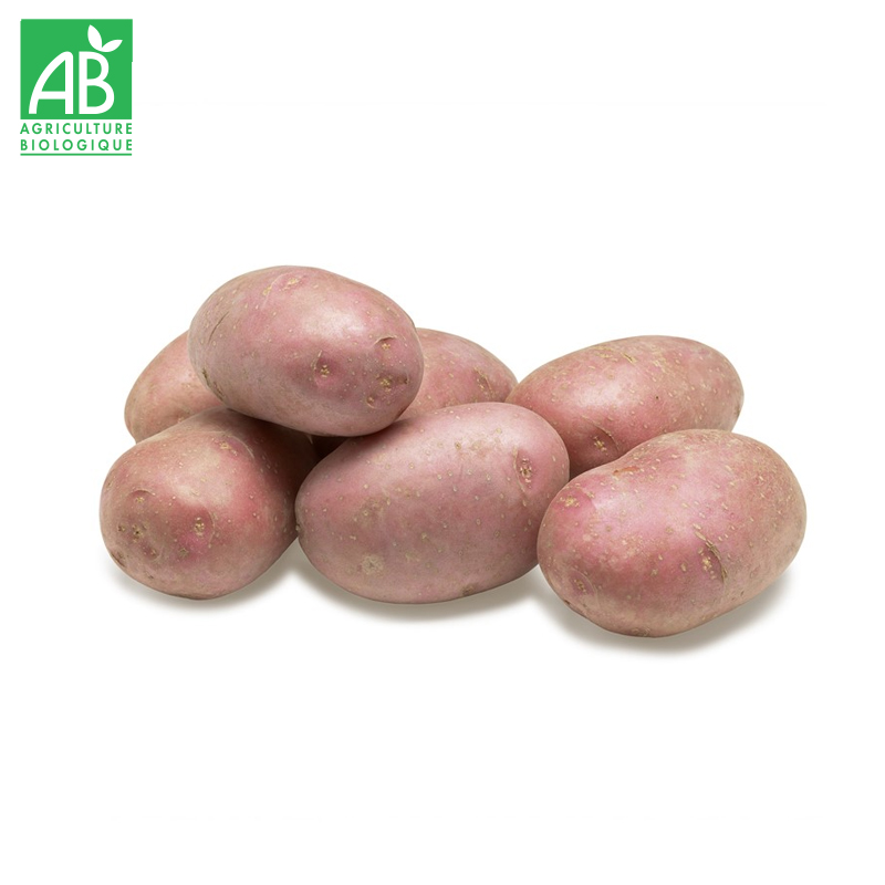 Pommes de terre Alouette bio