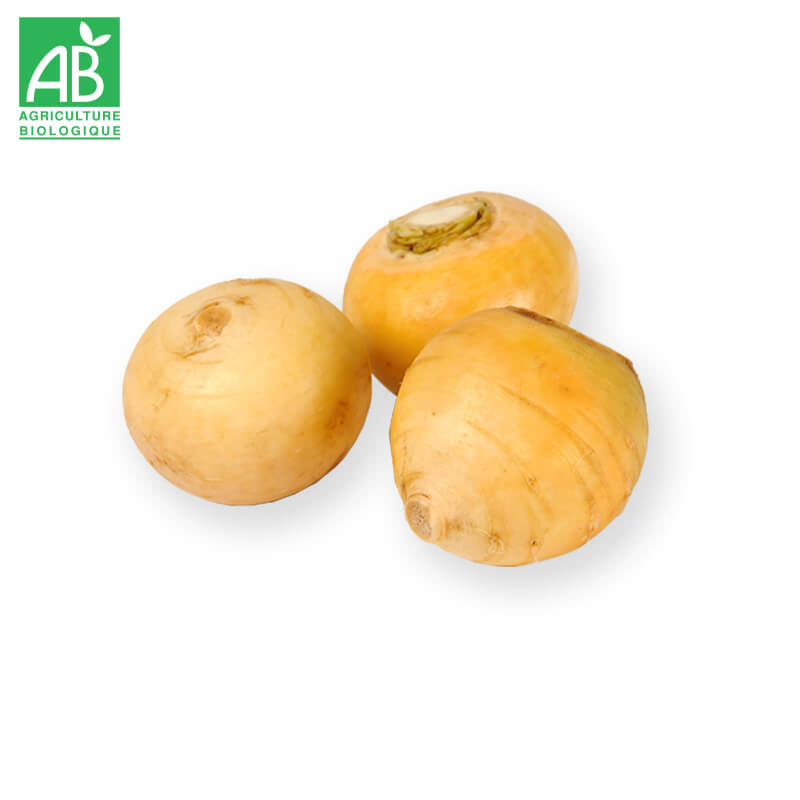 Navets jaunes bio