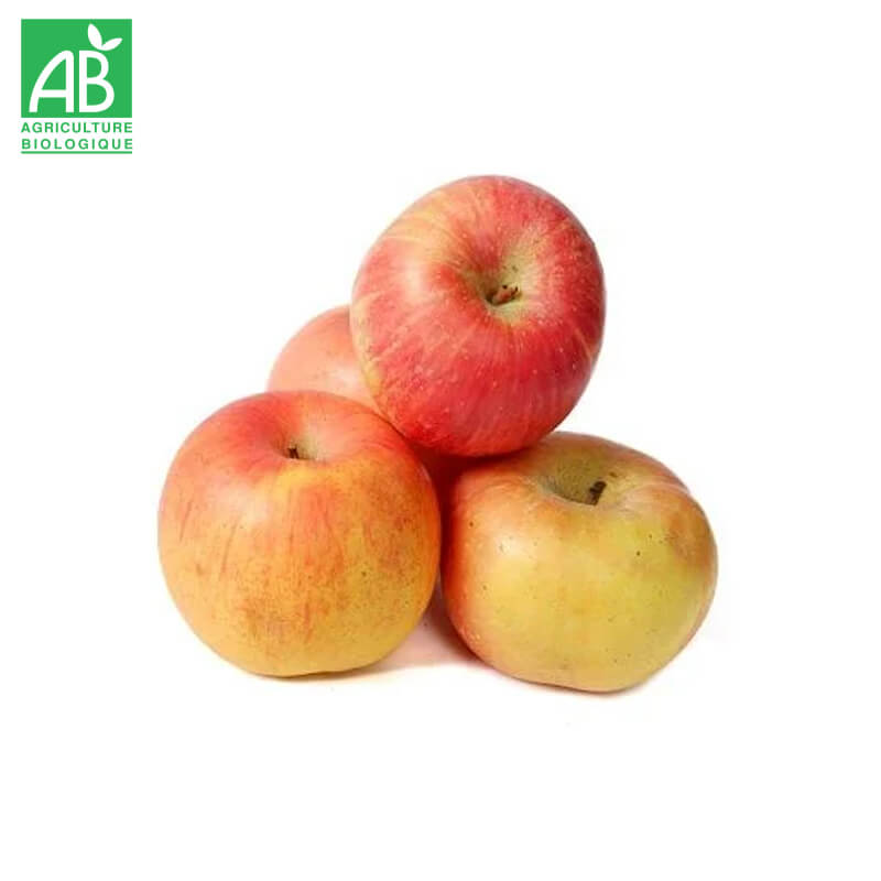 Pomme Fuji Bio