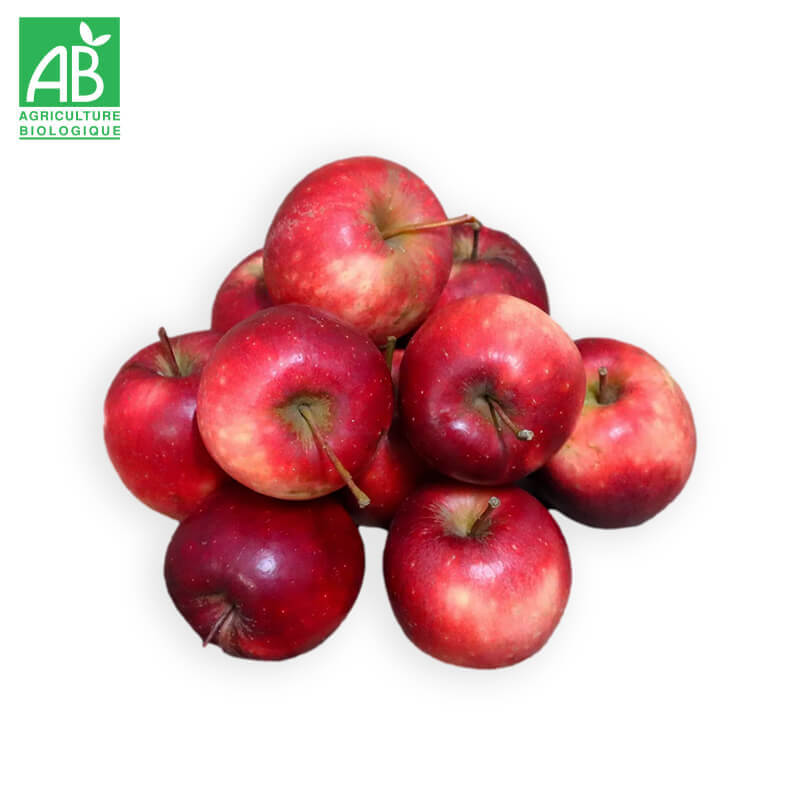 Pomme Story Bio