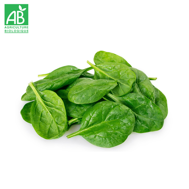 Epinard Bio 500g