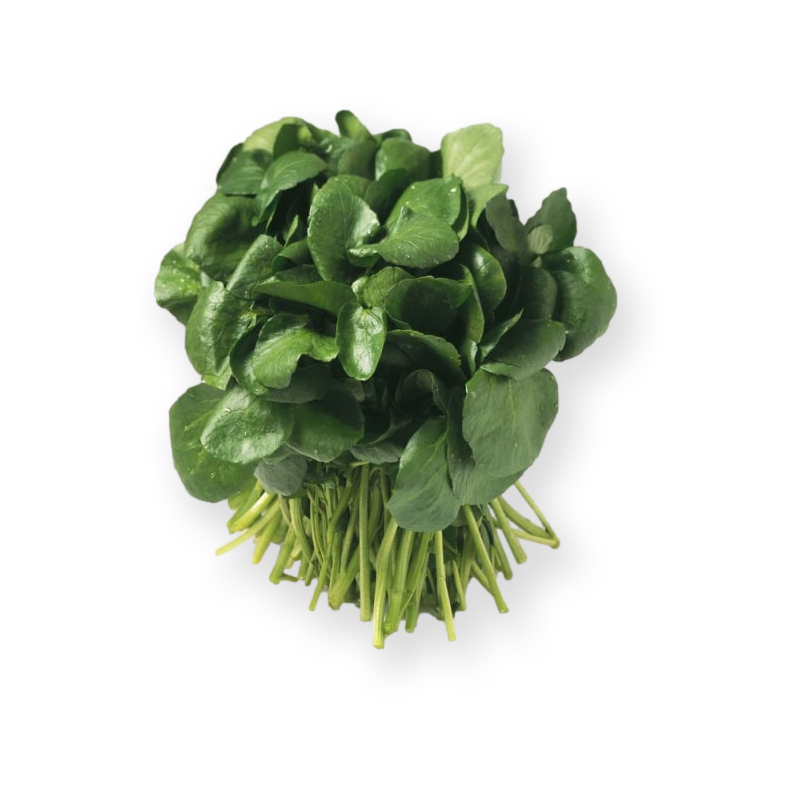 Cresson de Fontaine 50g