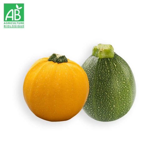 Courgettes rondes Bio