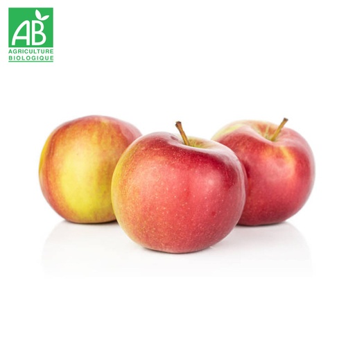 Pomme Valstar Bio