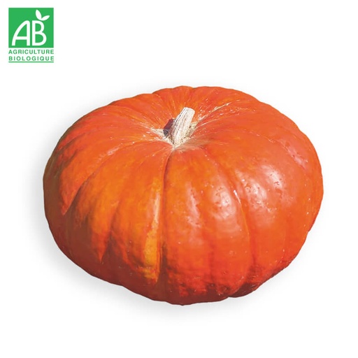 Courge Potiron rouge vif d'Etampes Bio à la coupe