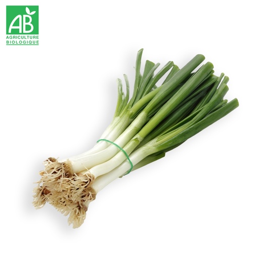Poireaux Bio en botte