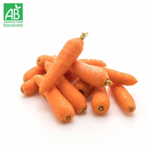 Carottes nouvelles Bio
