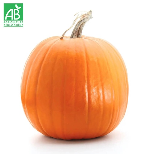 Courge "Jack'O Lantern" Bio à la pièce (gros calibre)