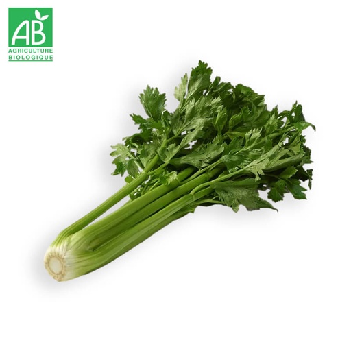 Céleri branche Bio en botte