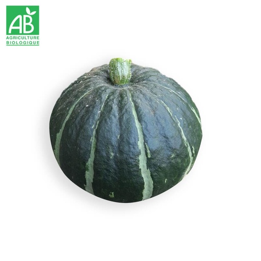 Courge Potimarron Green Hokkaido Bio à la pièce
