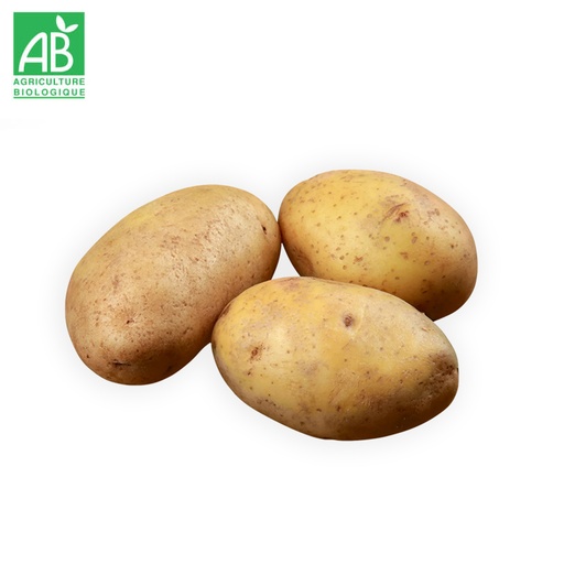 Pommes de Terre Agria Bio