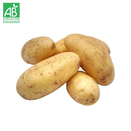 Pommes de Terre Agria Bio