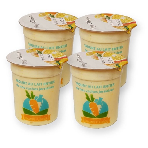Yaourts brassés Orange/Clémentine x4