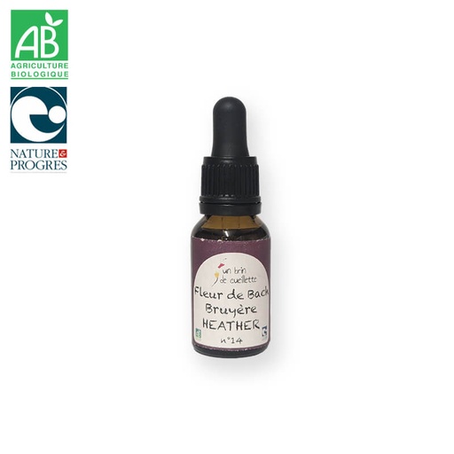 Fleur de bach : Bruyère
