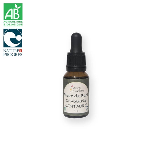 Fleur de bach : Centaurée